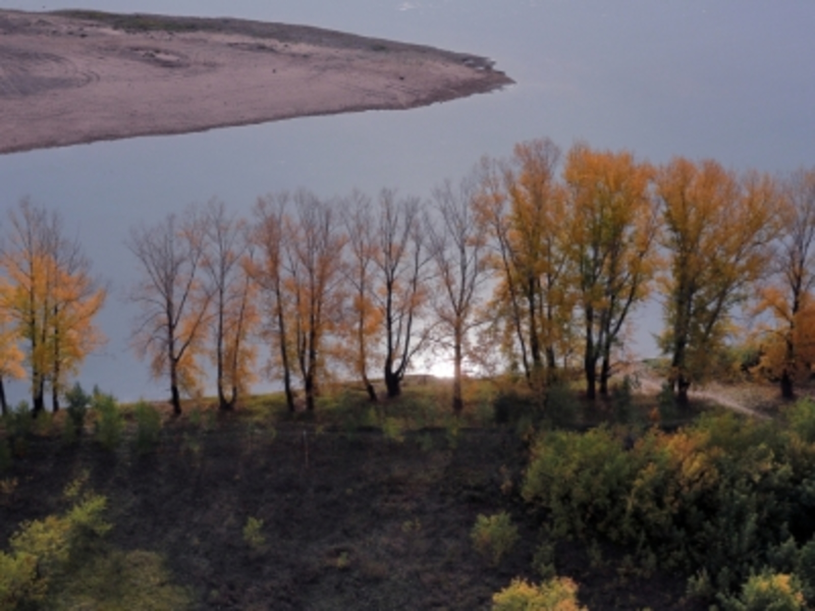 Йүткереүҙе тиҙ арала баҫыр өсөн бик шәп ысул