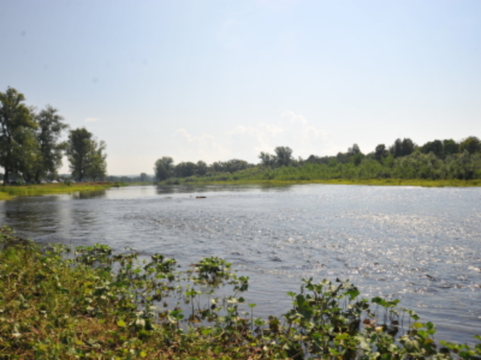 ПРИТЧА «КУДА БОГИ СПРЯТАЛИ НАШЕ СЧАСТЬЕ?»