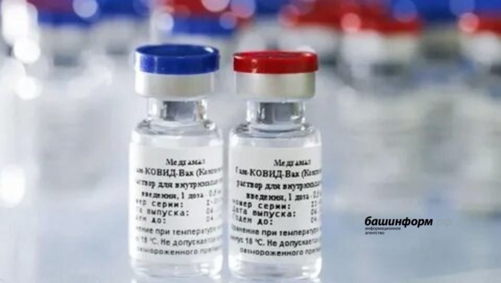 Өфөләрҙең 80 проценттан ашыуы вакцина яһатҡан