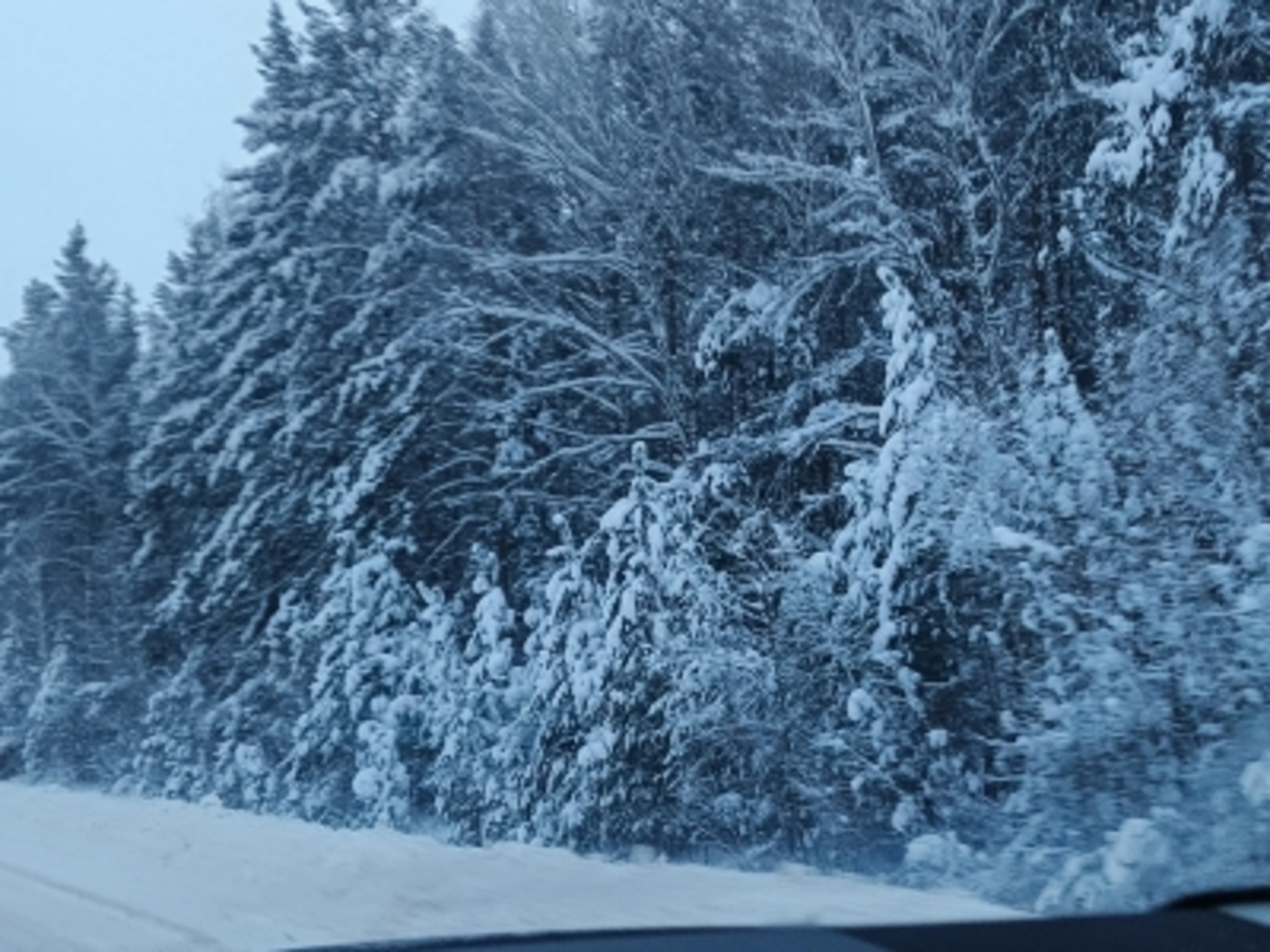 Ун биш һум. Хикәйә. Г.Ғиззәтуллина