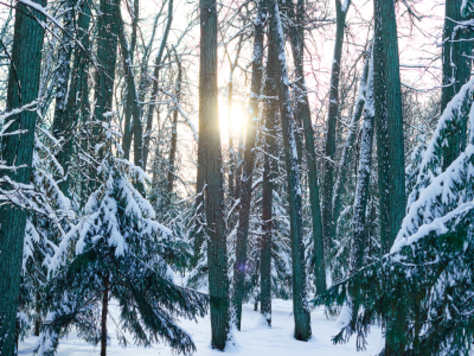 КЕМГӘ ҺӨЙЛӘЙЕМ СЕРҘӘРЕМДЕ... (Хикәйә) Шакир Янбаев