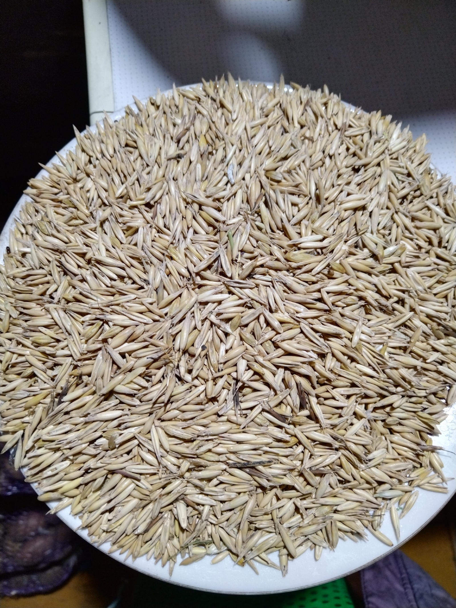 Организмды  һоло менән таҙалау