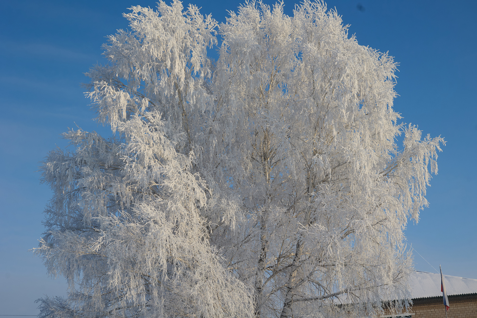 Мостафа менән Һәҙиә