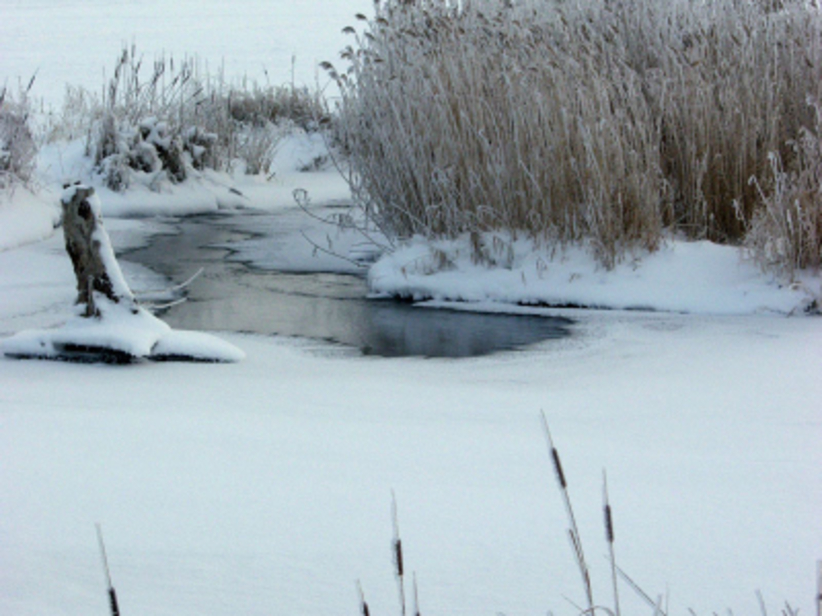 Фатиха. Марат Әминев    Хикәйә