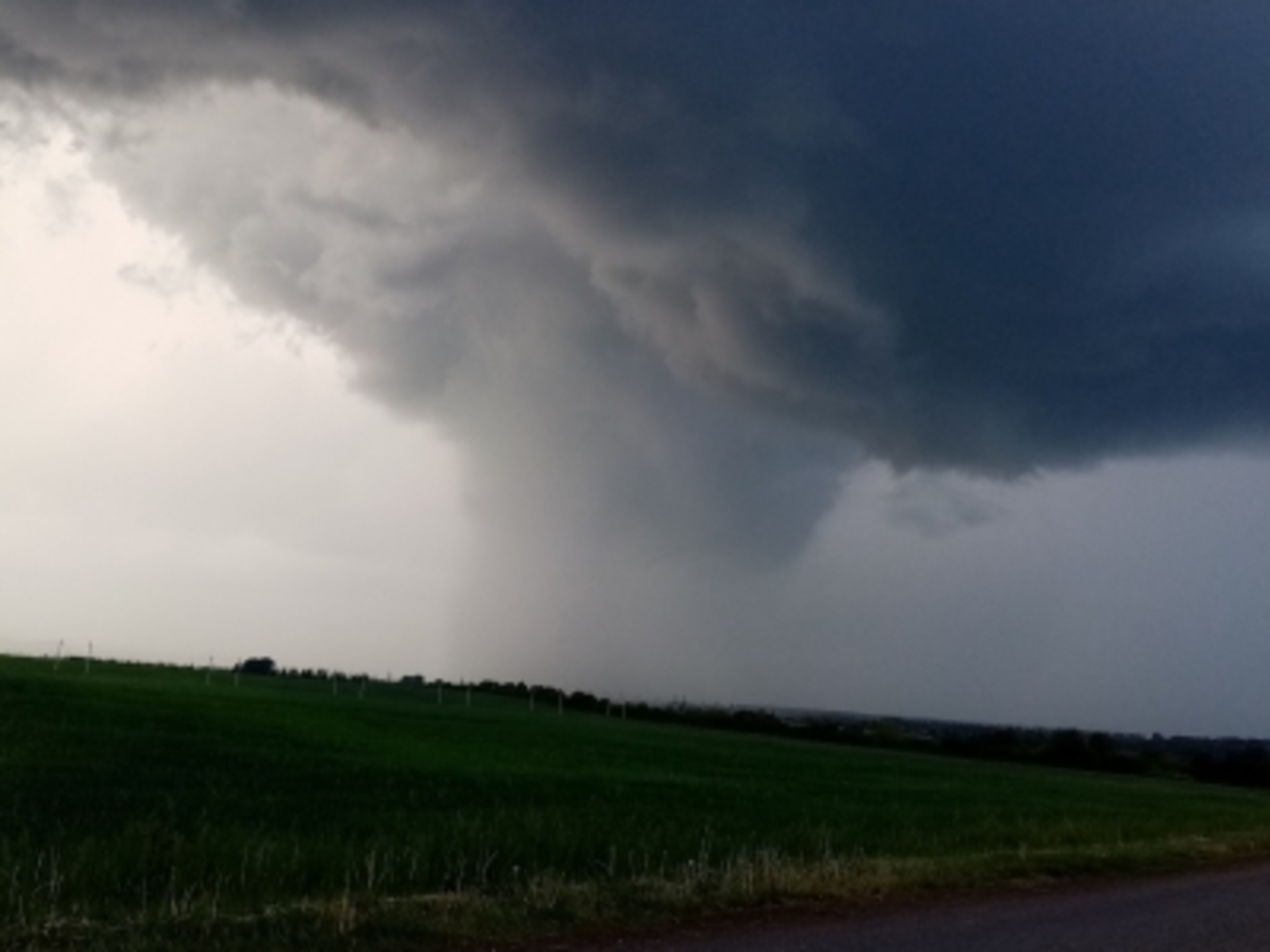 Харис ШӘРИПОВ ЕН ТУЙЫ. Юмореска