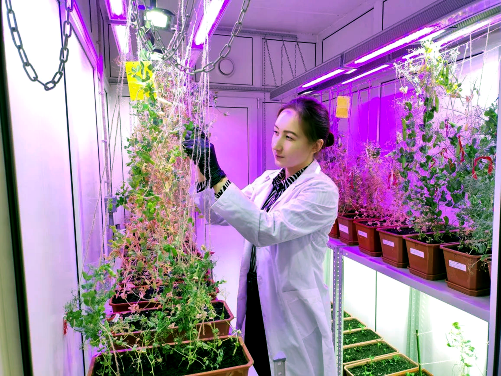 “Беҙҙе туйындырған ер күңелемә яҡын”