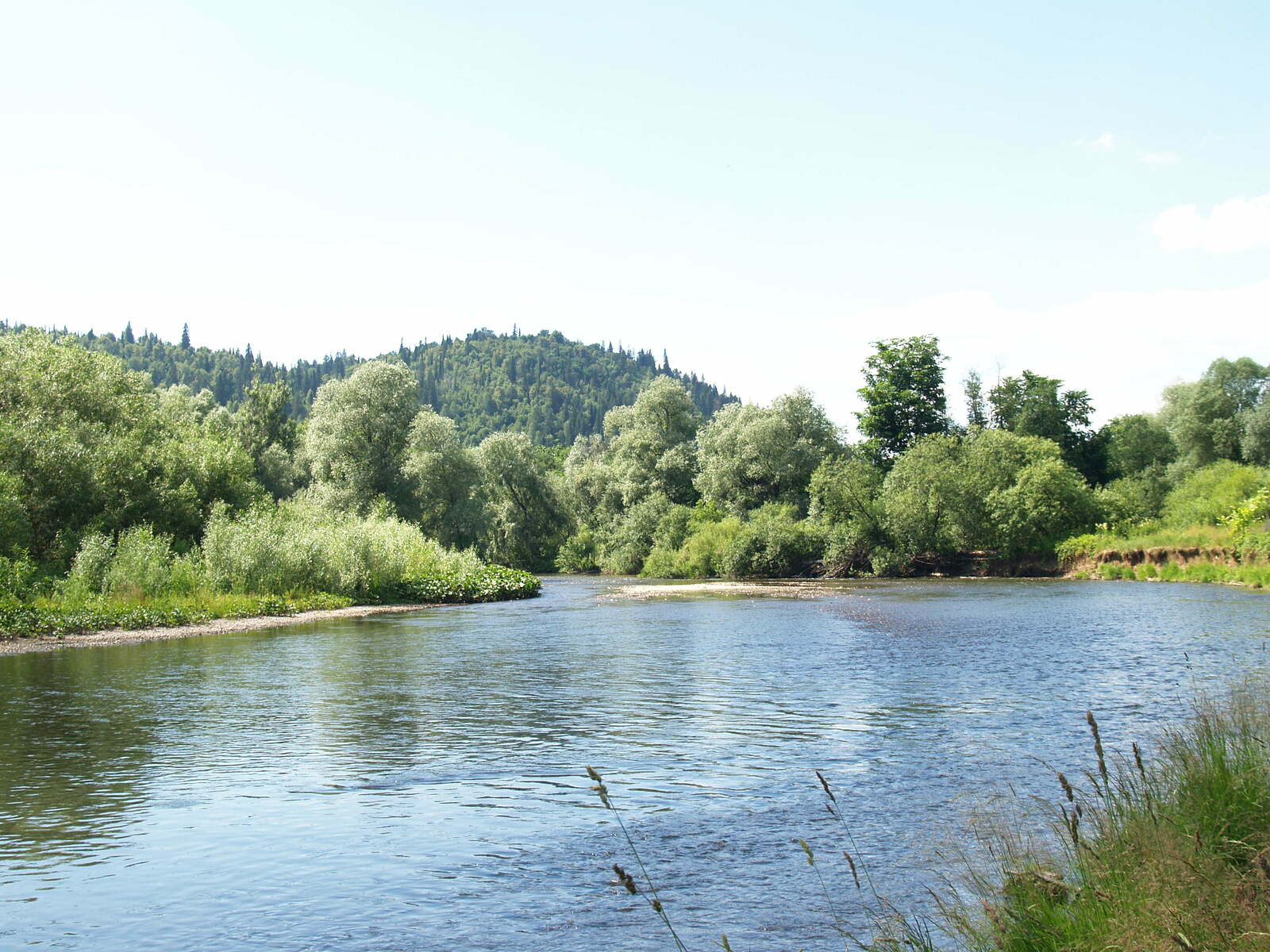 Һыу эсеүҙең биш ҡағиҙәһе