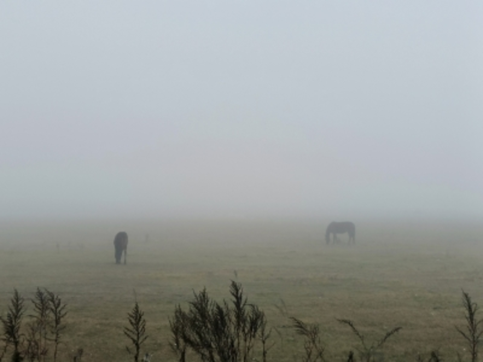 Йоҡо – бәхет…