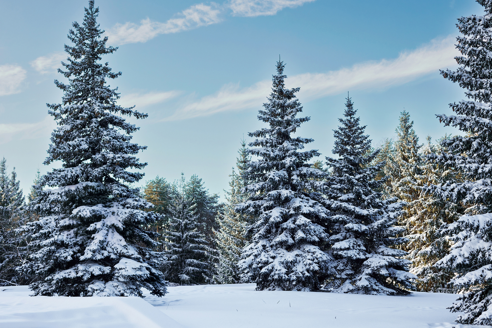 Батыр рухы. Хикәйә. Рәзинә Зәйнетдинова-Урманшина