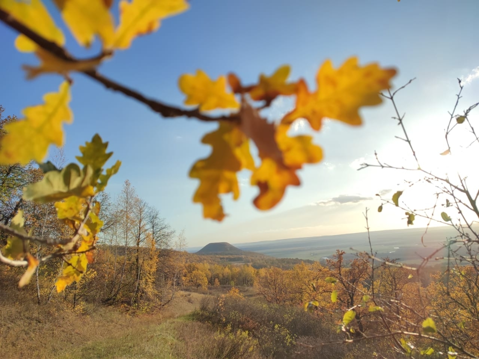 "Ғәфү ит, әсәкәйем!" Таңһылыу ҒӘЙНУЛЛИНА