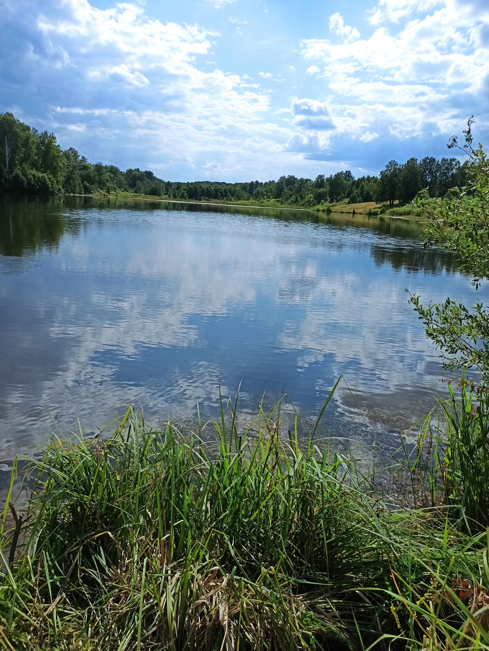 Зәңгәр ебәк йәки күҙ нуры. Хикәйә. Гөлсирә Ғиззәтуллина