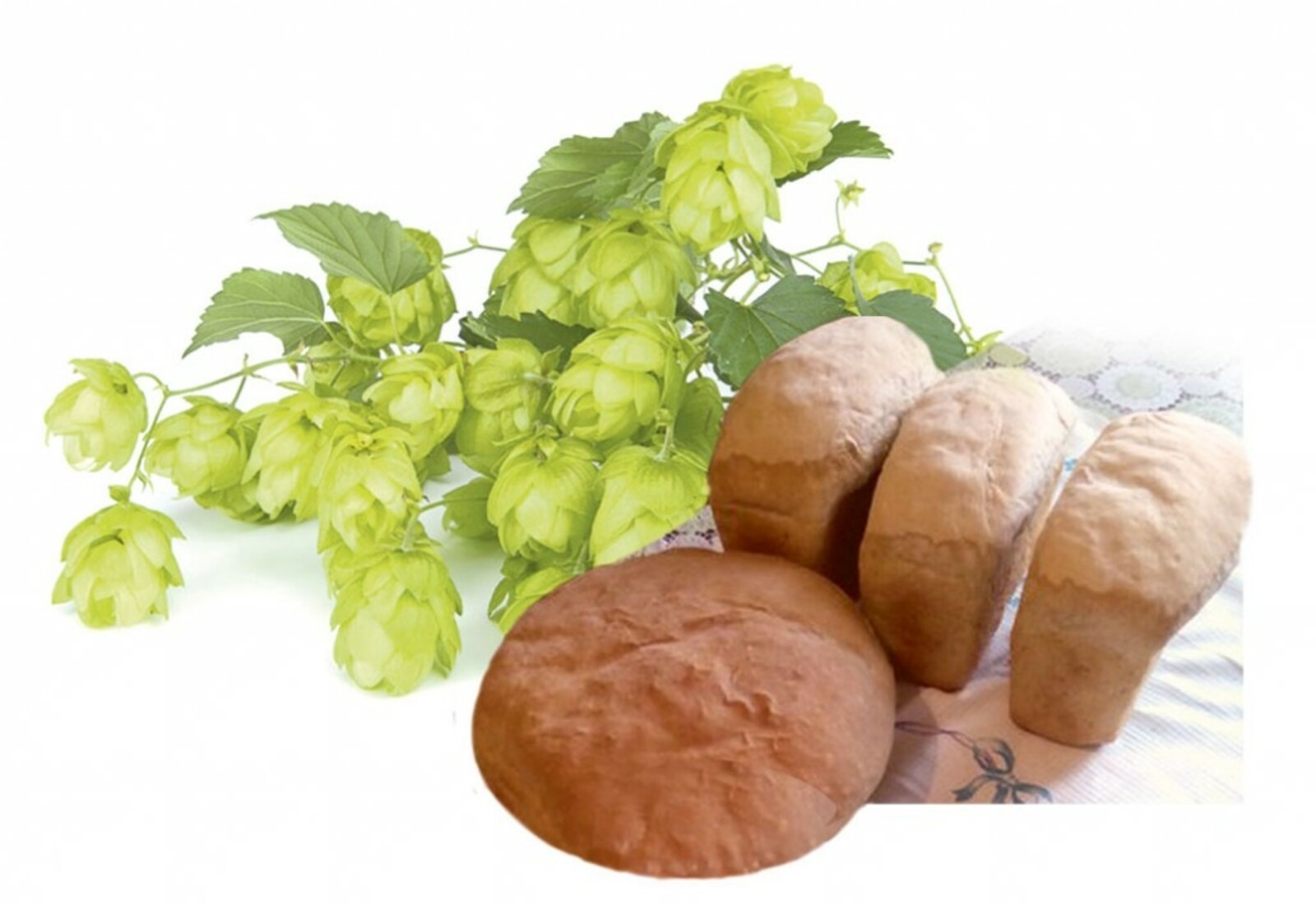 Ҡабарып бешкән әпәкәй...