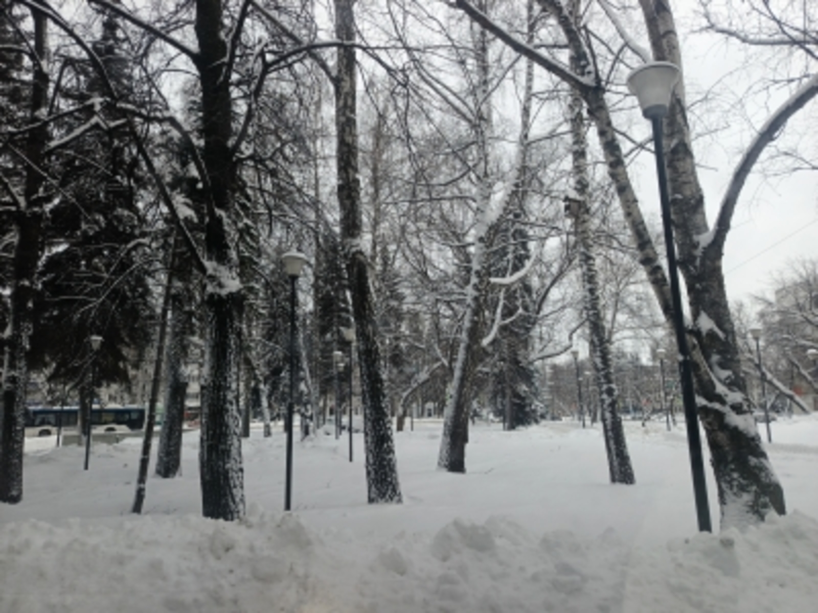 ЯРАЛЫ БӘХЕТ (хикәйәт). Зәйтүнә Айытбаева