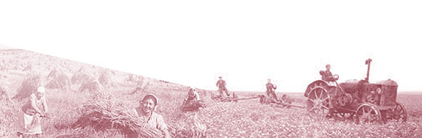 Бәйгегә. Еңеүгә 80 йыл. Сонтор бала саҡ