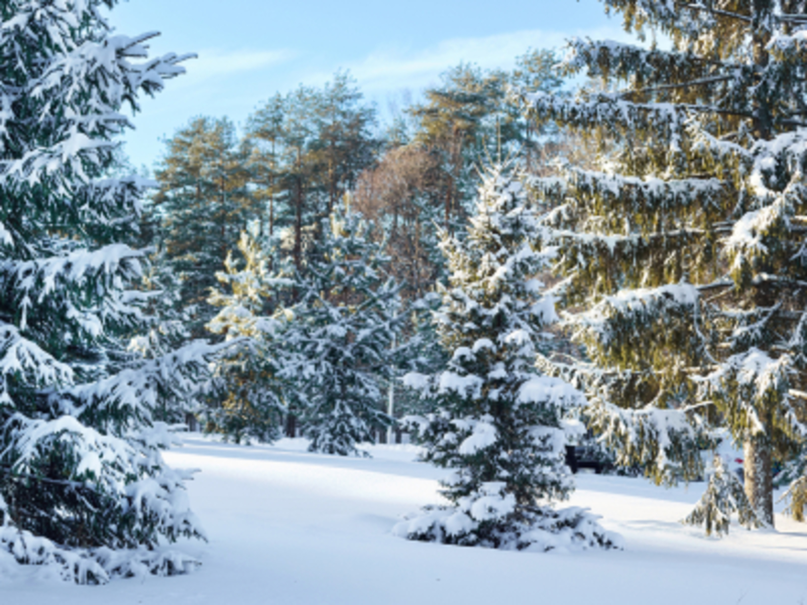 Зыянһыҙ таҙартыу саралары