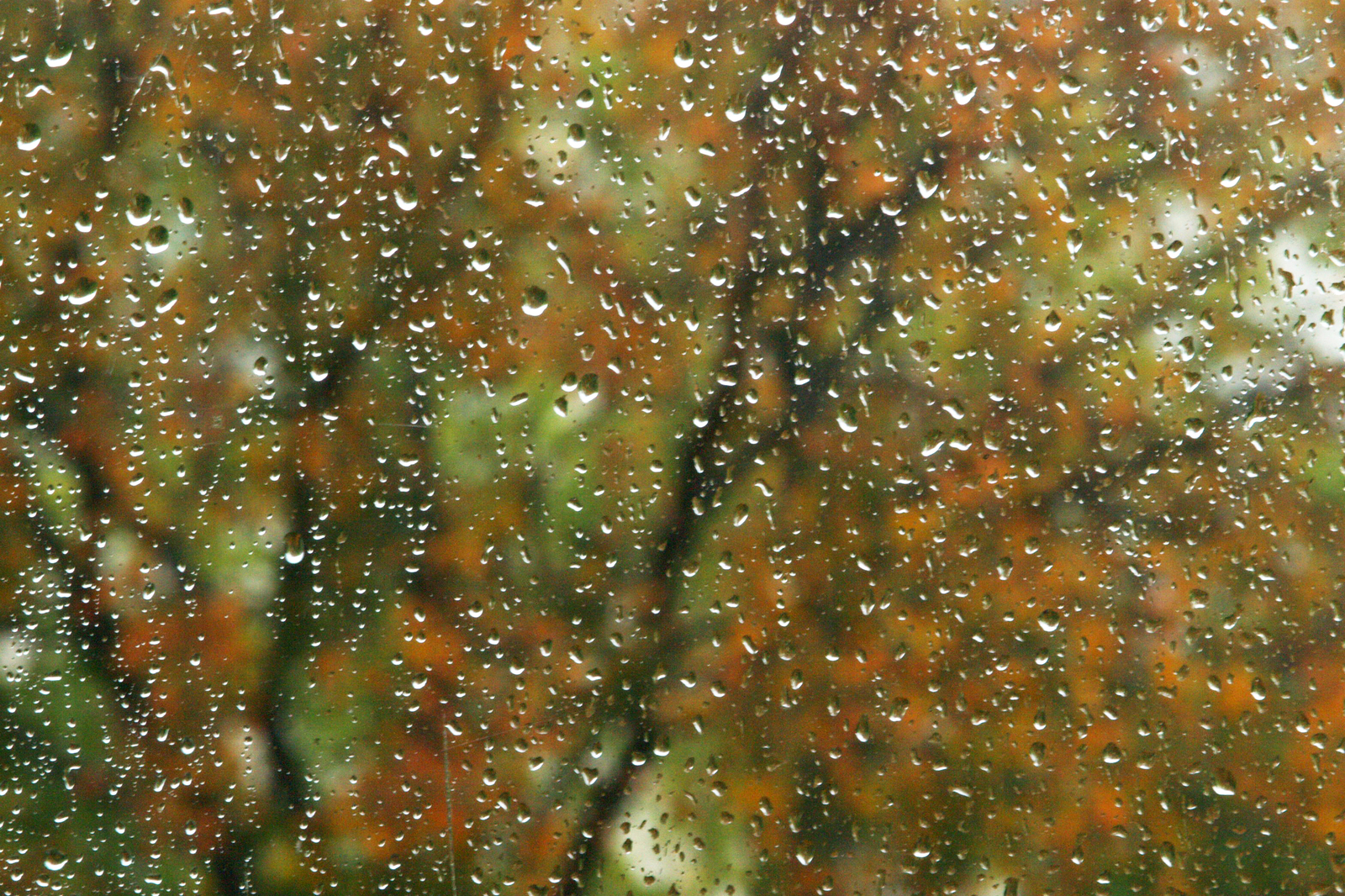 Минең ямғыр. Заһиҙә МУСИНА