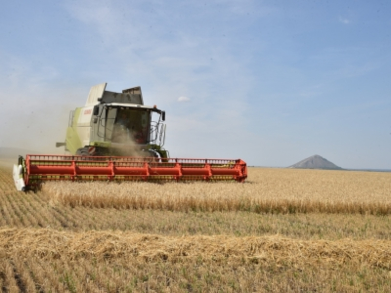 Һау-сәләмәт булғың киләме?