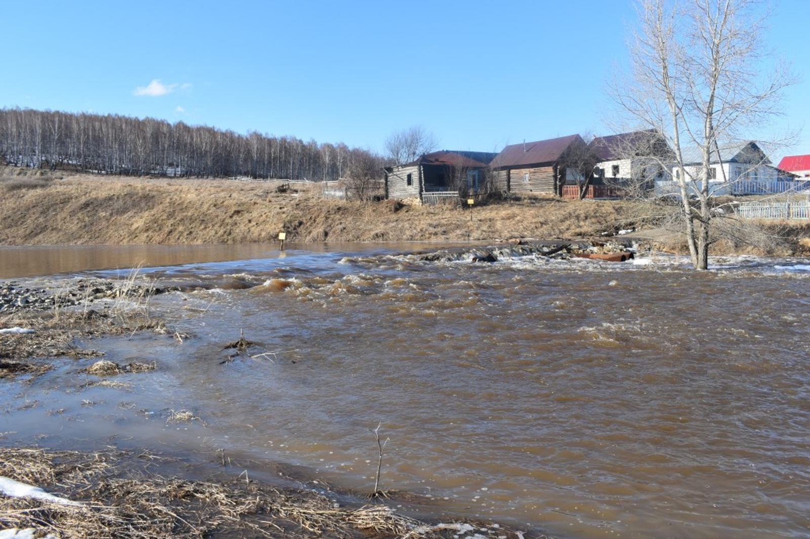 Өйрөлмәк. Нажиә Игеҙйәнова