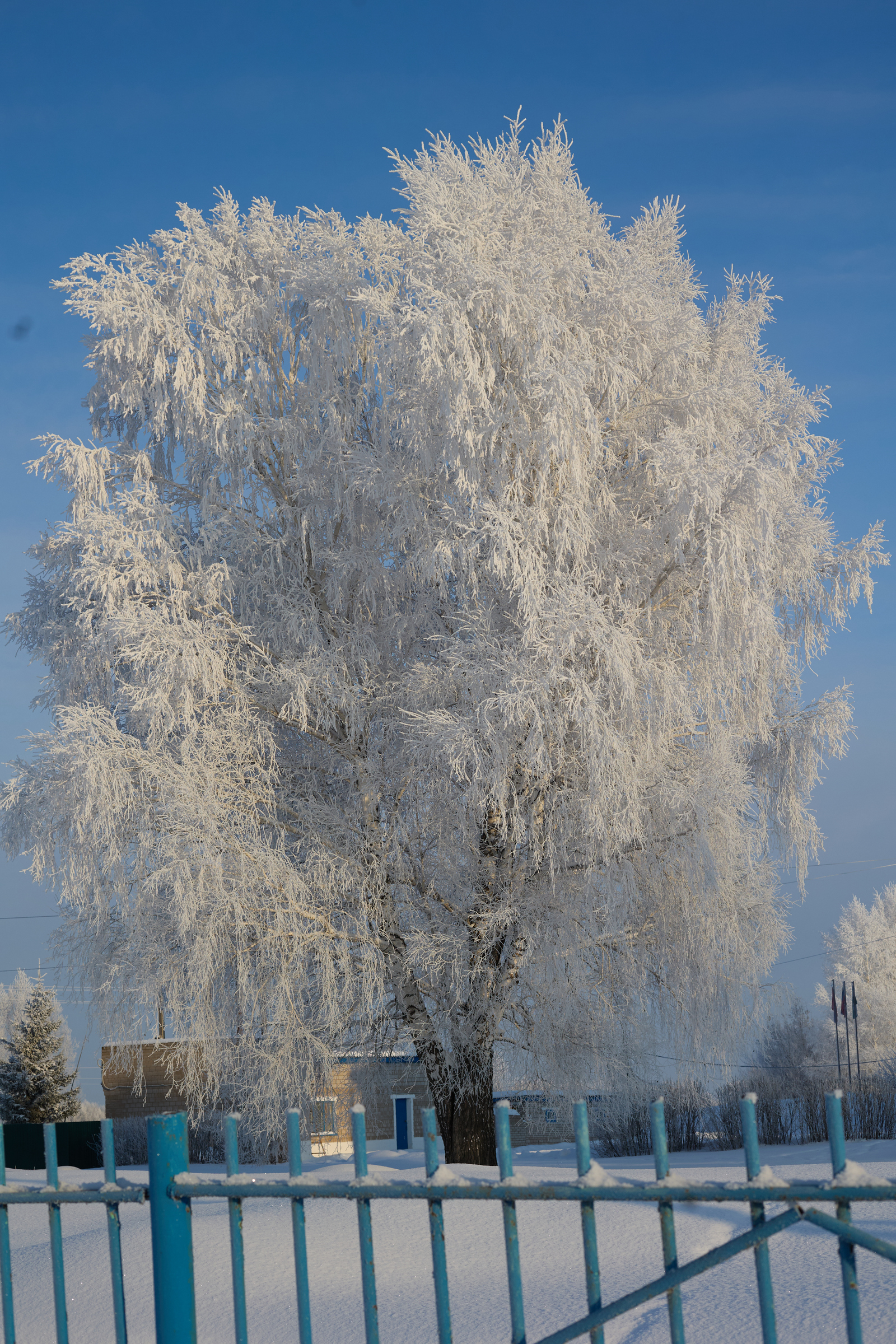 Ике етем күңел ҡауышҡанда... (хикәйә). Гөлнур ҠЫУАТОВА
