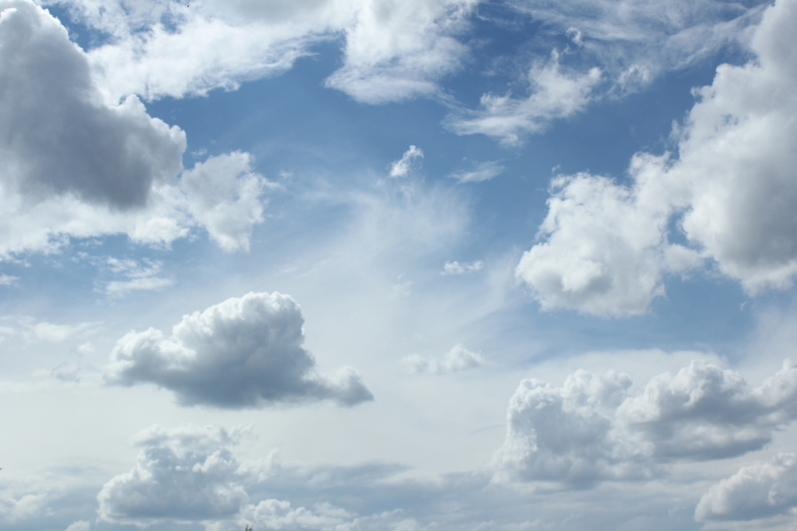 Мөнир ҠУНАФИН. КЕШЕЛЕККӘ ТОҒРОЛОҠ (Хикәйә)