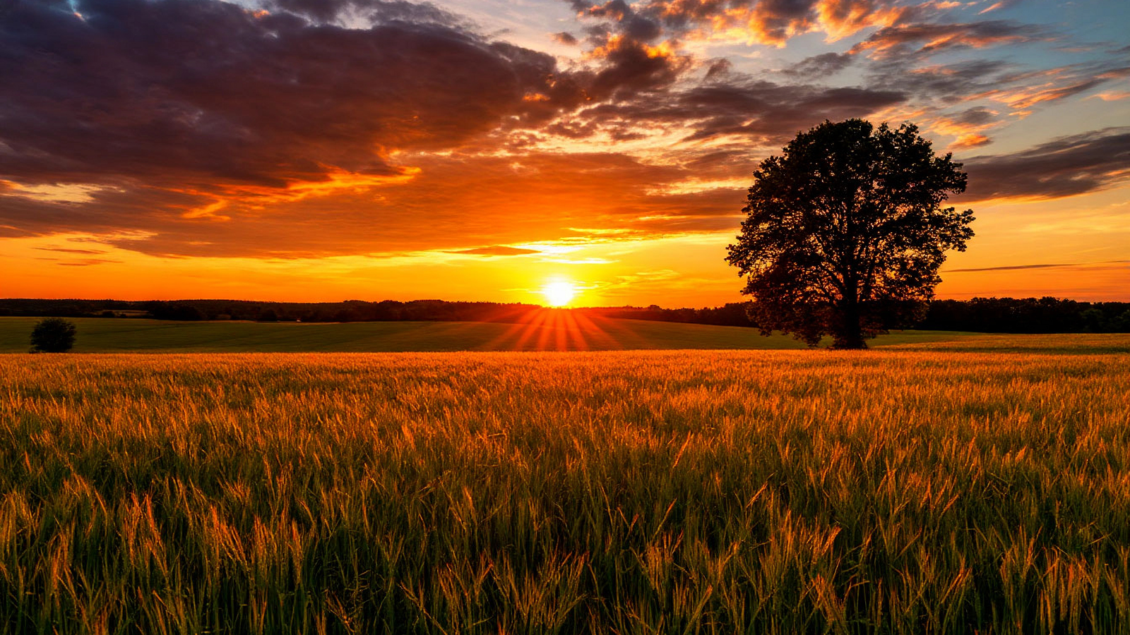 Һынған ҡанаттар