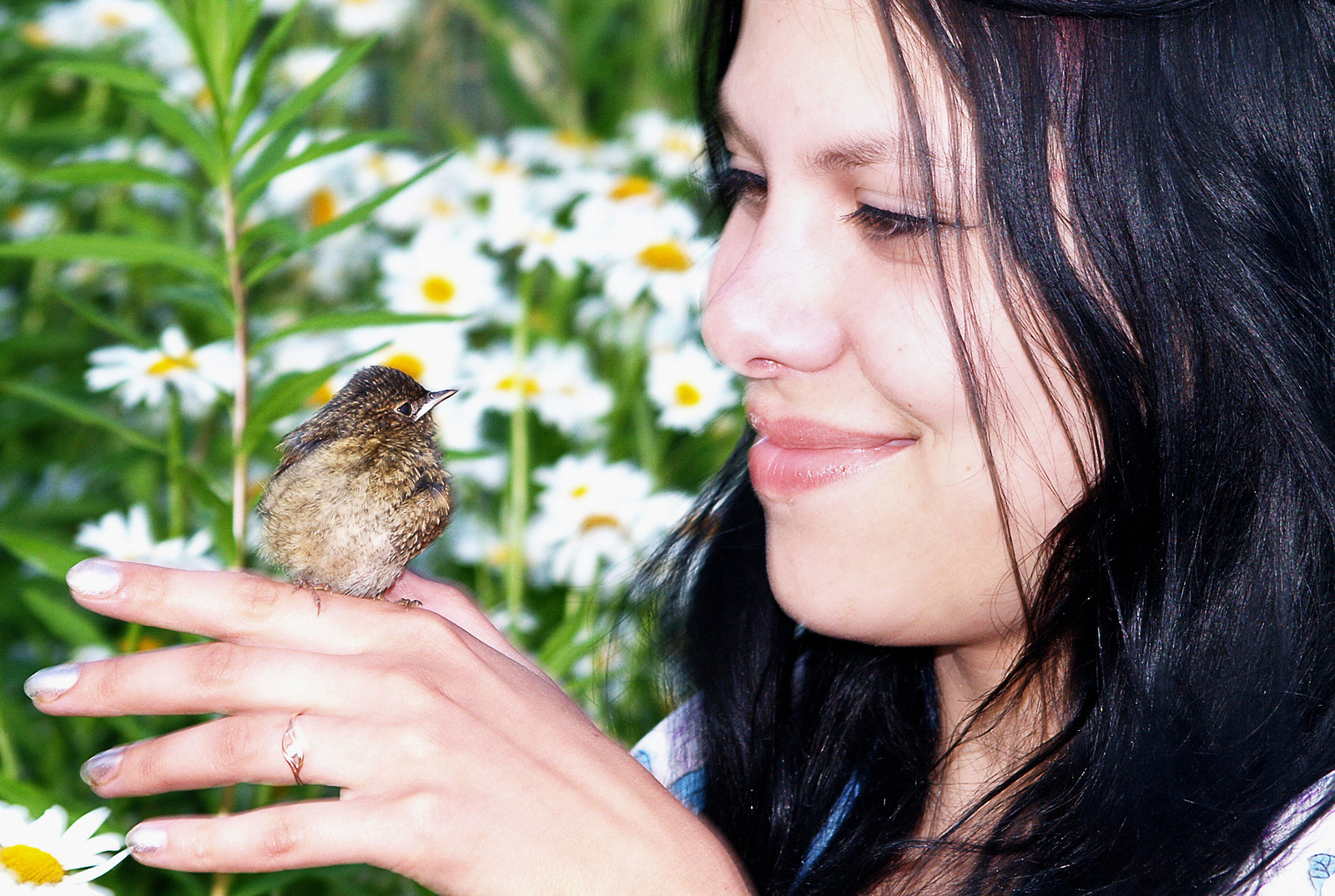 Насар уйҙарҙан нисек арынырға?