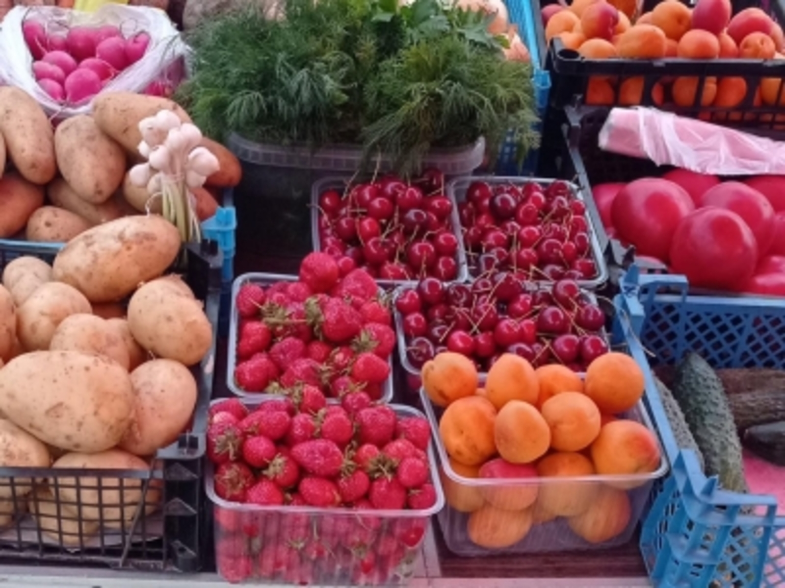 Организмдың сигналдары һәм уларҙы нисек асырға