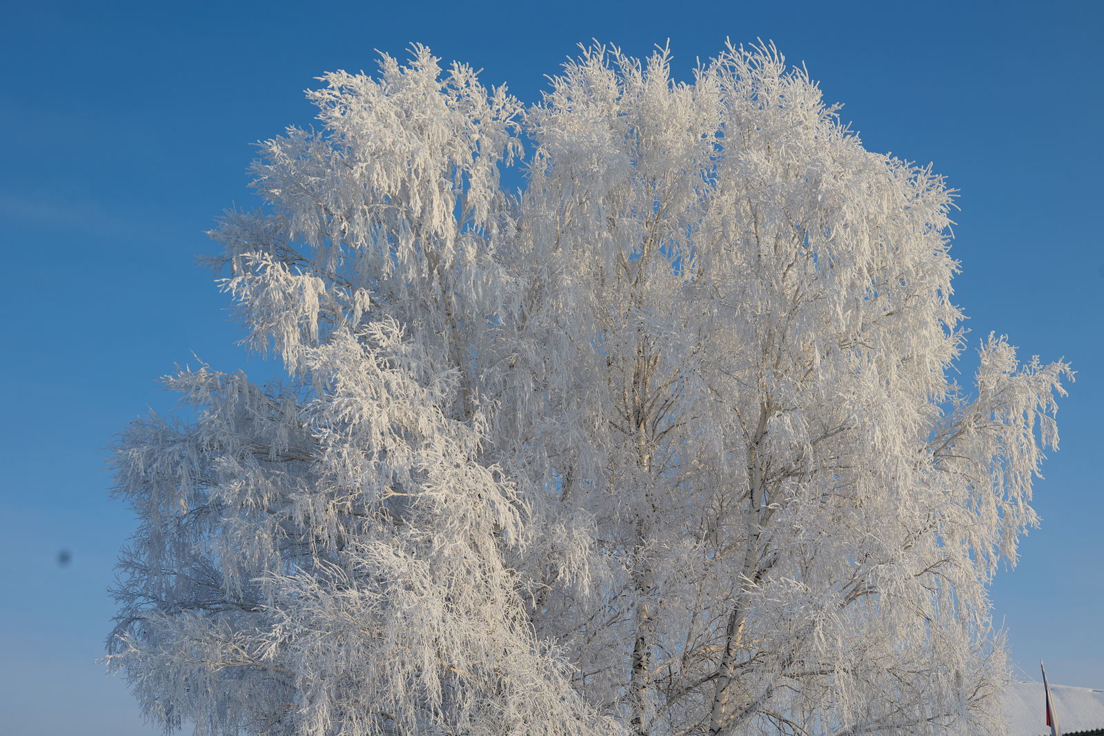 Эш самауырҙа түгел. Хикәйә. Рәйлә Сабитова